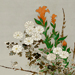 Korin Ogata Gallery